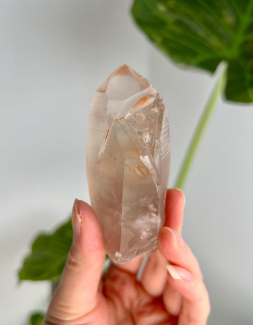 Grade A Golden Healer Lemurian Shift Quartz with Penetration, Manifestation Quartz from Serra do Cabral, Brazil, GSL02, 119g