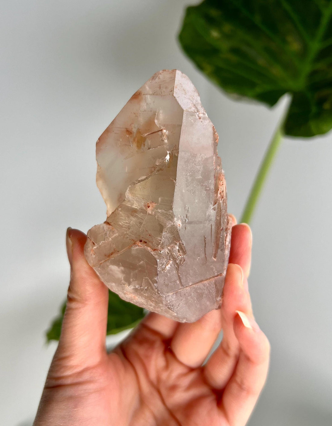 Grade A Golden Healer Shift Lemurian Quartz, Shift Quartz, Golden Healer Lemurian with Rainbow from Serra do Cabral, Brazil, GSL04, 266g