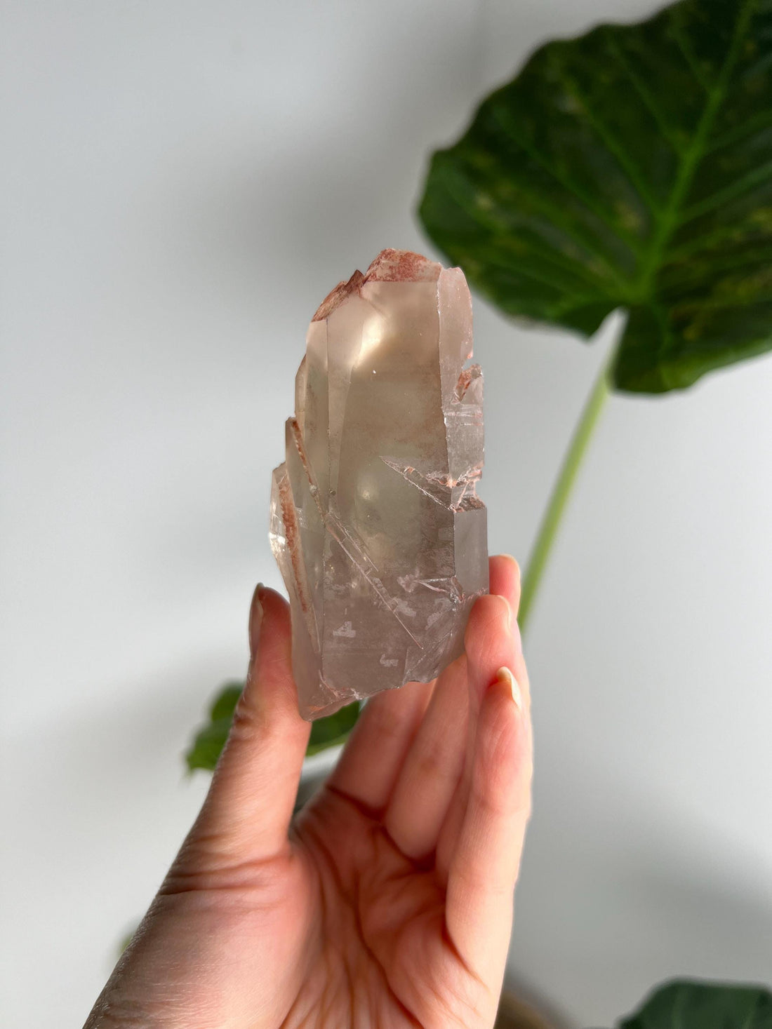 Grade A Golden Healer Shift Lemurian Quartz, Shift Quartz, Golden Healer Lemurian with Rainbow from Serra do Cabral, Brazil, GSL07, 180g
