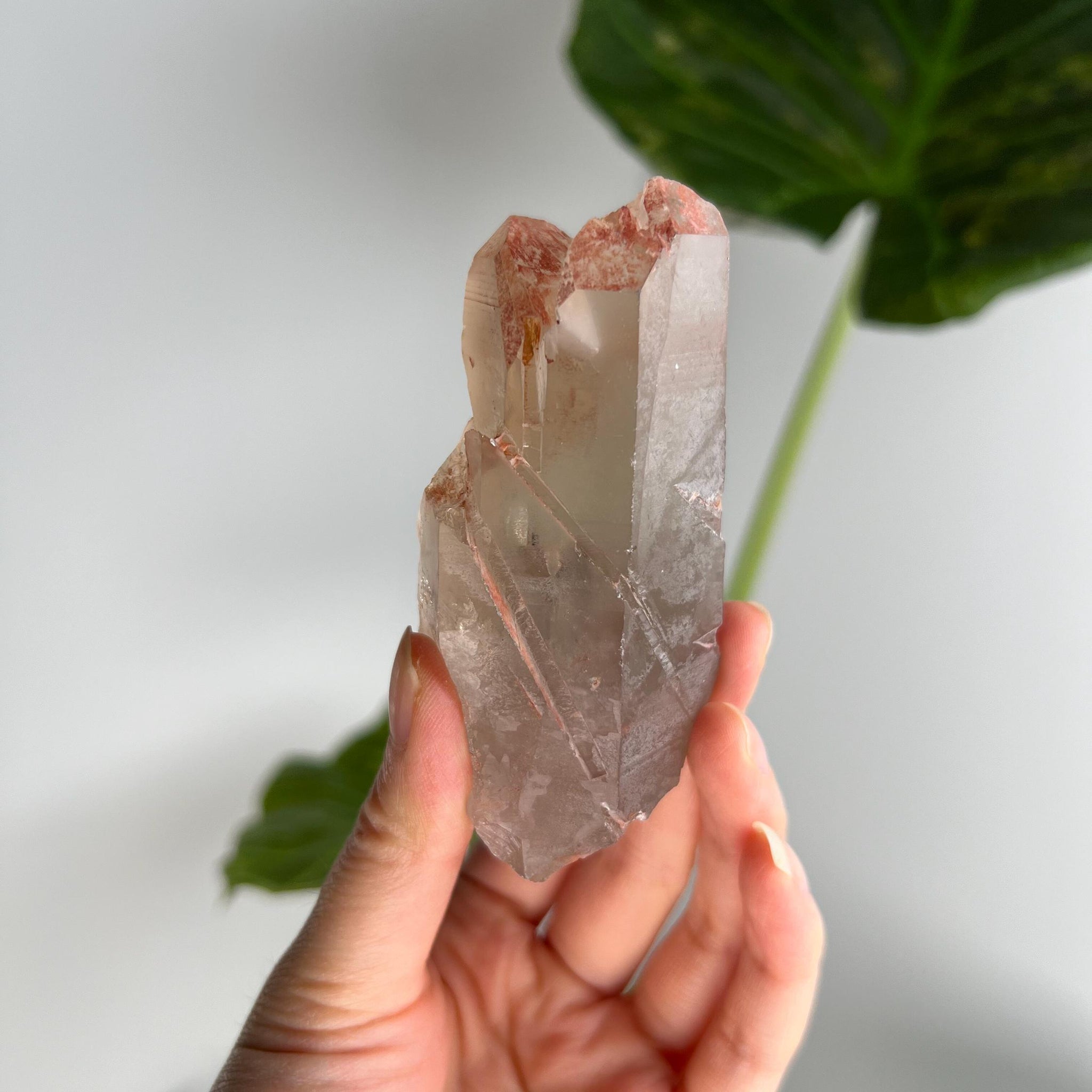 Grade A Golden Healer Shift Lemurian Quartz, Shift Quartz, Golden Healer Lemurian with Rainbow from Serra do Cabral, Brazil, GSL07, 180g