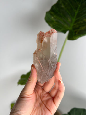 Grade A Golden Healer Shift Lemurian Quartz, Shift Quartz, Golden Healer Lemurian with Rainbow from Serra do Cabral, Brazil, GSL07, 180g