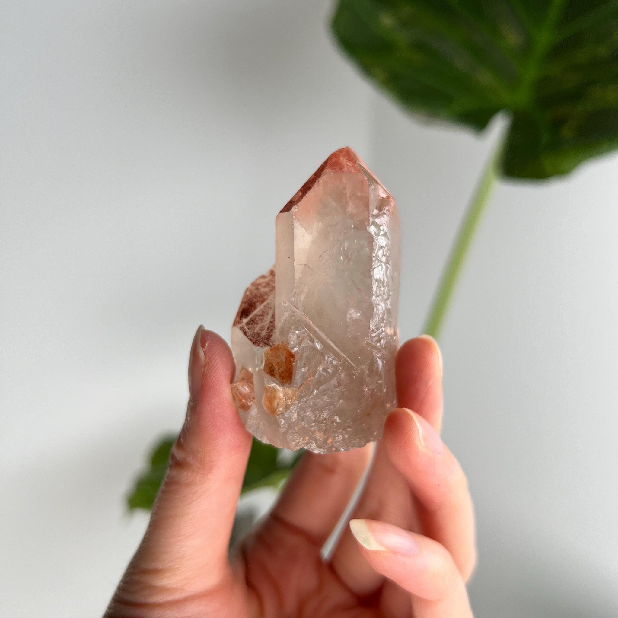 Grade A Golden Healer Shift Lemurian Quartz, Shift Quartz, Golden Healer Lemurian with Rainbow from Serra do Cabral, Brazil, GSL10, 80g
