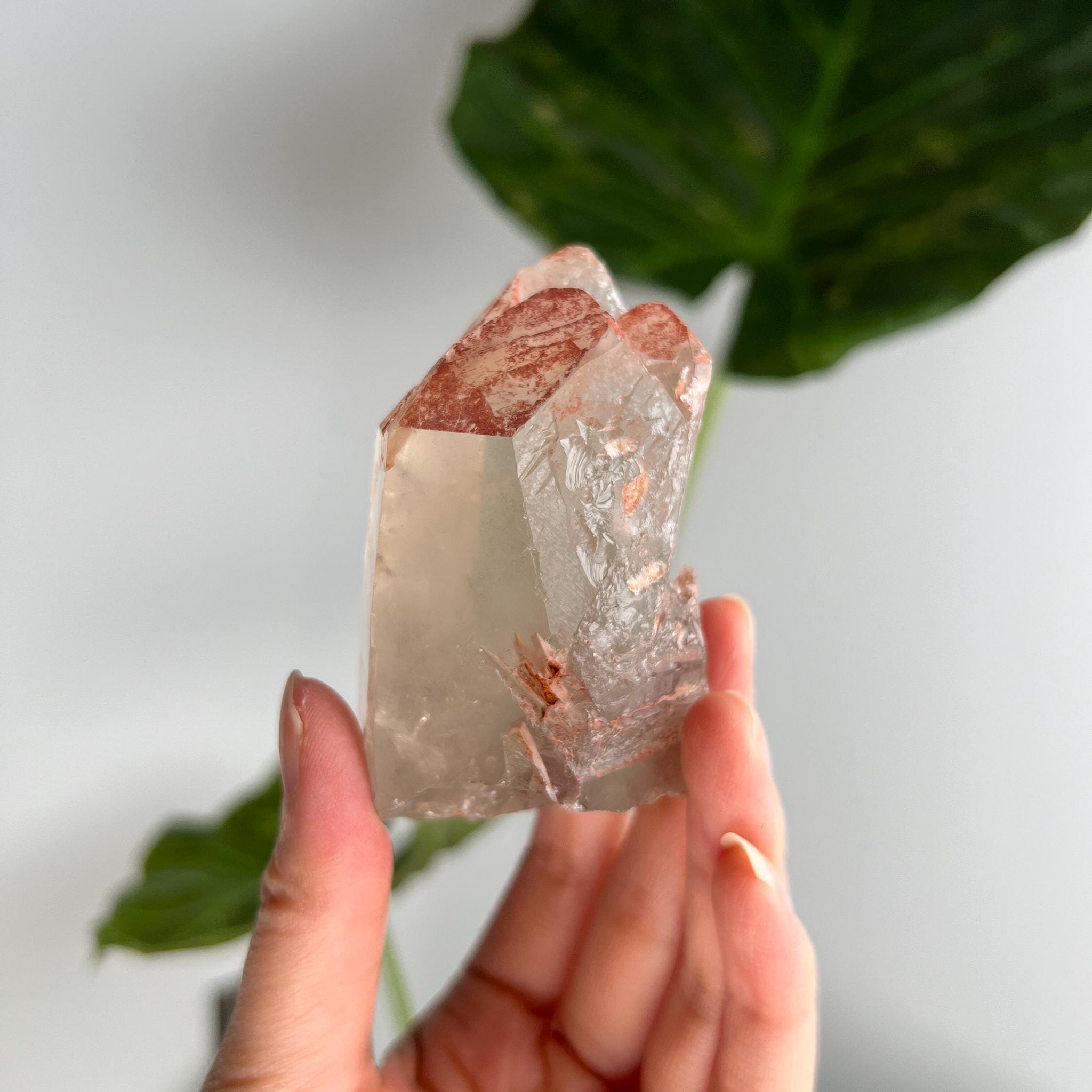 Grade A Golden Healer Lemurian Shift Quartz, with Record Keepers and Rainbow from Serra do Cabral, Brazil, GSL11, 182g