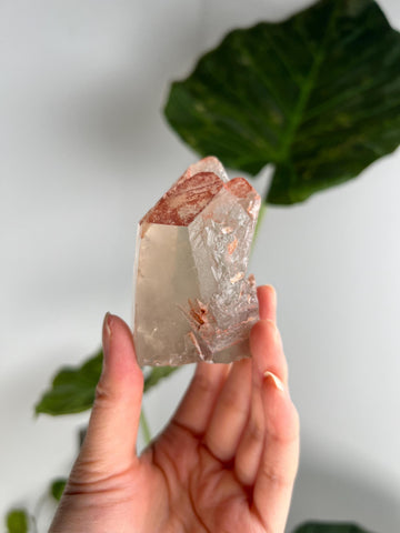 Grade A Golden Healer Lemurian Shift Quartz, with Record Keepers and Rainbow from Serra do Cabral, Brazil, GSL11, 182g
