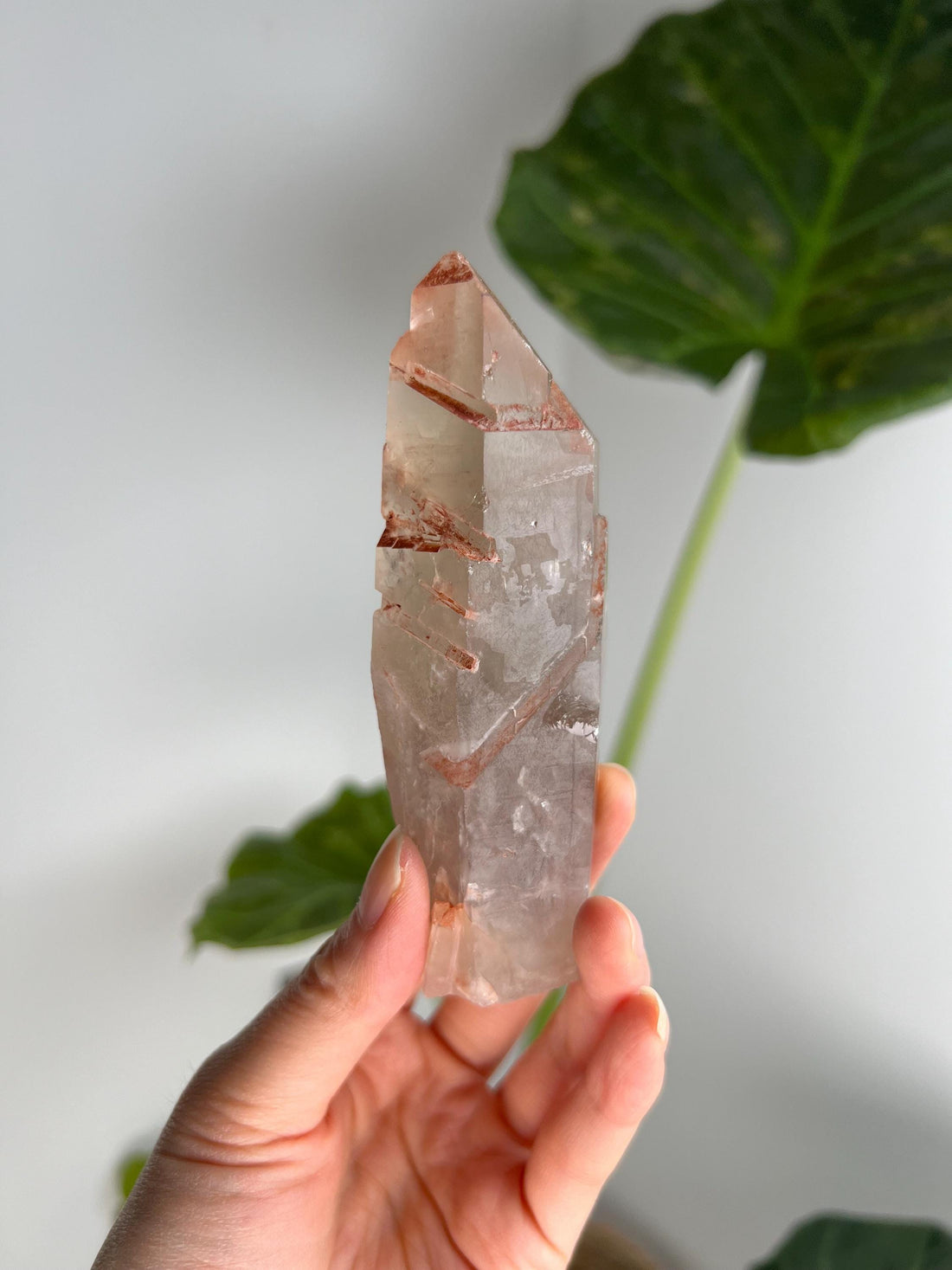 Grade A Golden Healer Shift Lemurian Quartz, Shift Quartz, Golden Healer Lemurian with Rainbow from Serra do Cabral, Brazil, GSL12, 188g