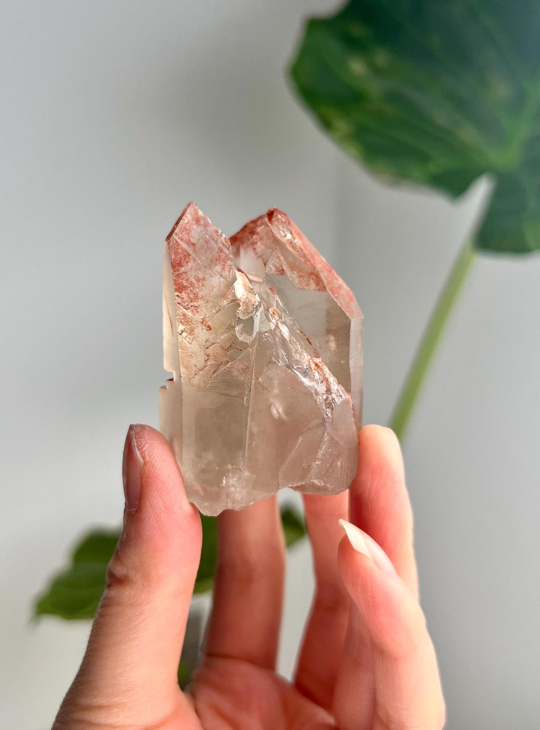 Grade A Golden Healer Lemurian Quartz, Shift Quartz, with Record Keepers from Serra do Cabral, Brazil, GSL18, 85g