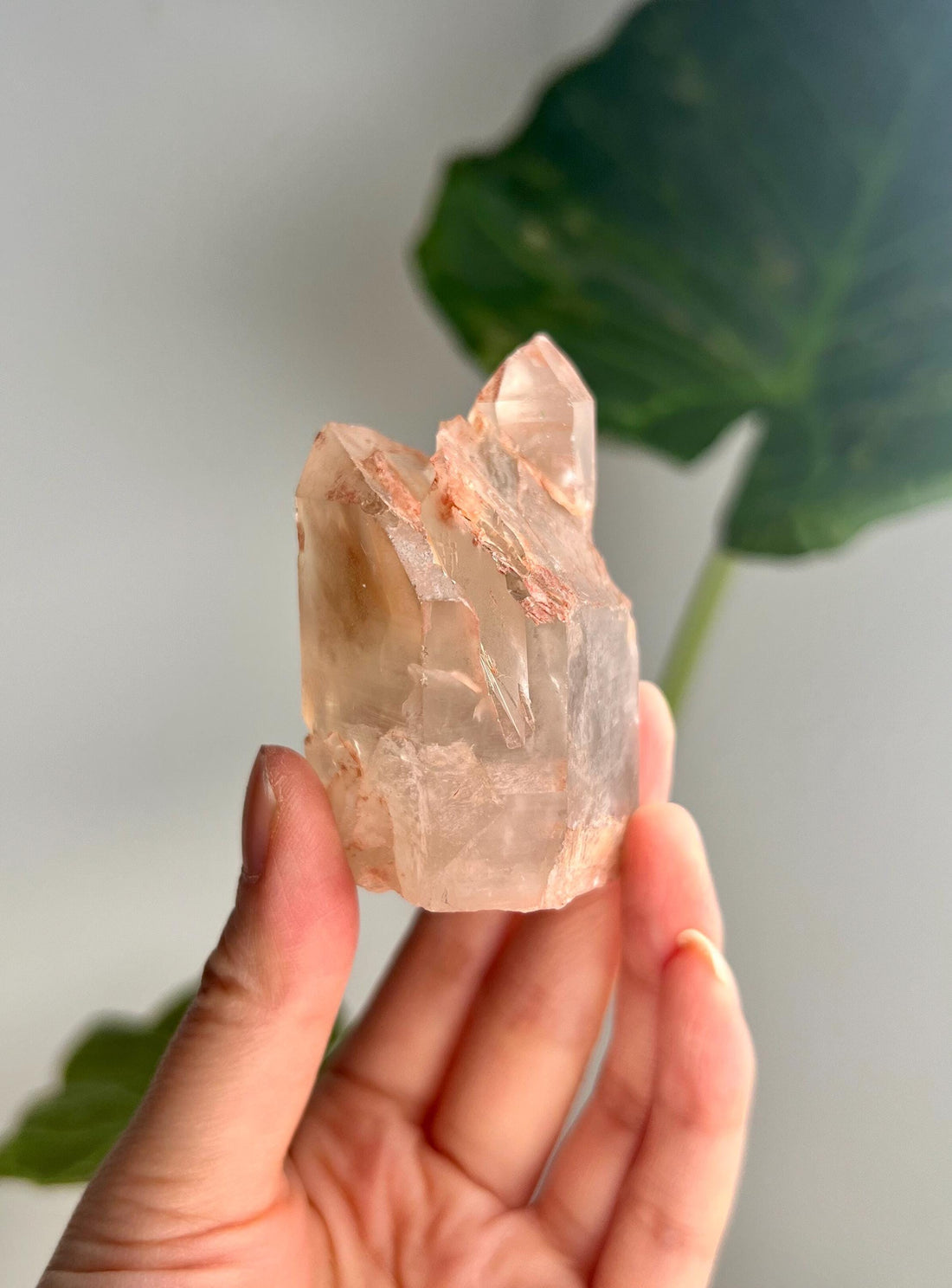 Grade A Unique Golden Healer Lemurian Quartz, Shift Quartz, from Serra do Cabral, Brazil, GSL19, 137g