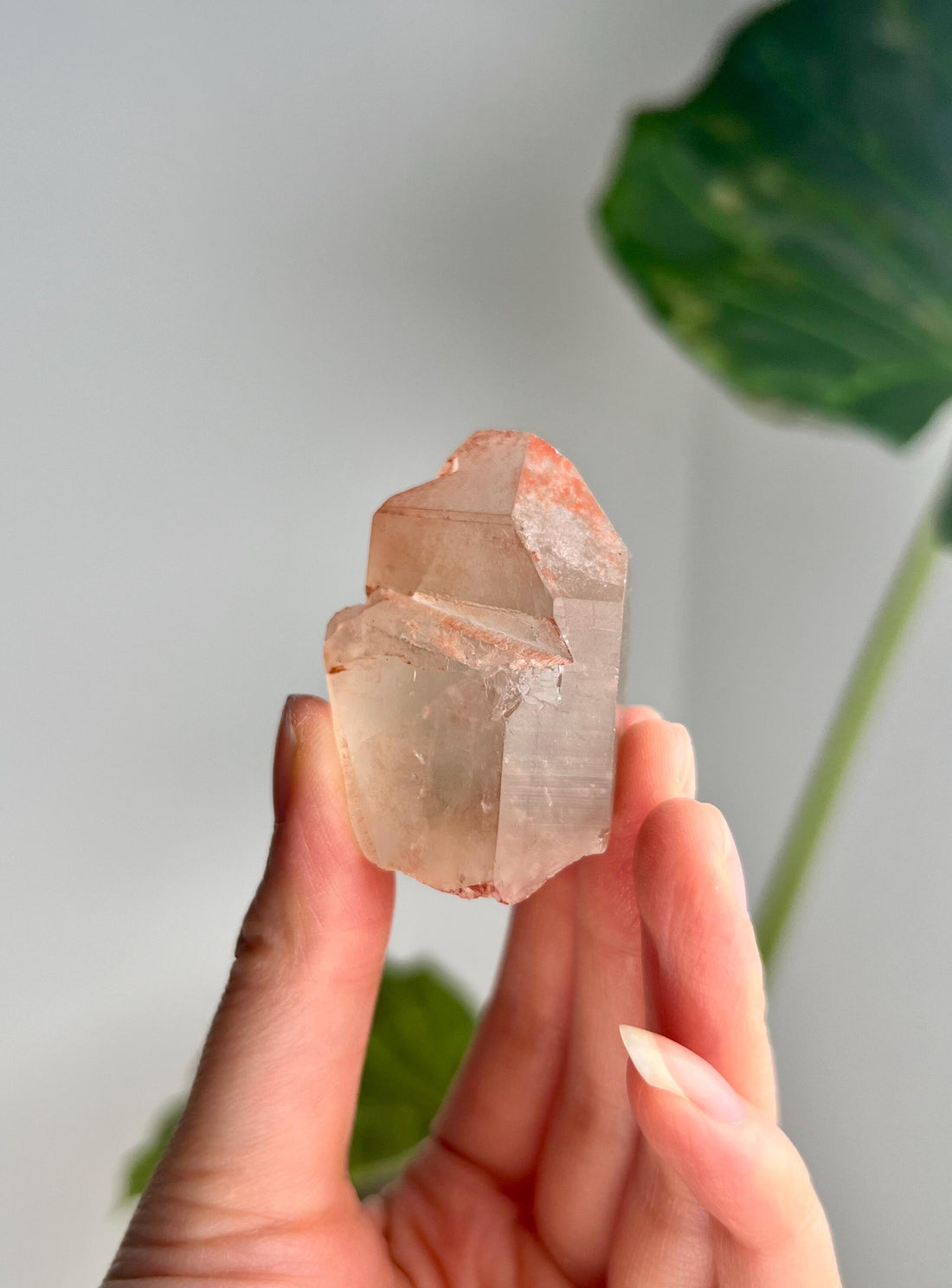 Grade A Golden Healer Lemurian Quartz, Shift Quartz, from Serra do Cabral, Brazil, GSL24, 60g