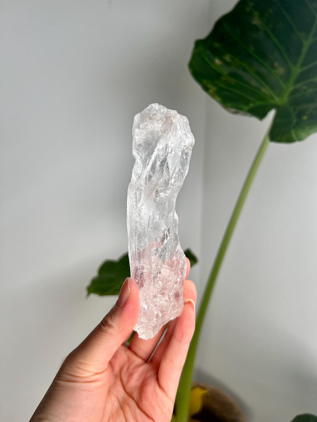 100% Natural Grade A Root Lemurian Quartz - Self-Healed and Etched Crystal from Serra do Cabral, Brazil - LRC14, 160g