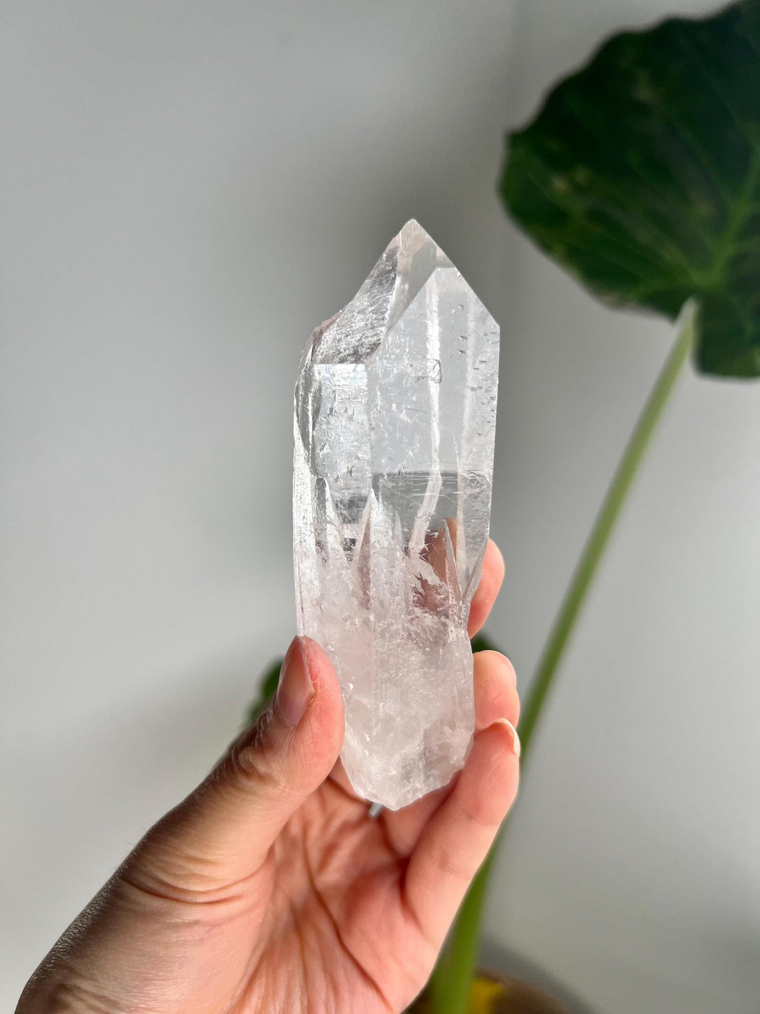 100% Natural Grade A Root Lemurian Quartz - Self-Healed and Etched Crystal from Serra do Cabral, Brazil - LRC24, 159g