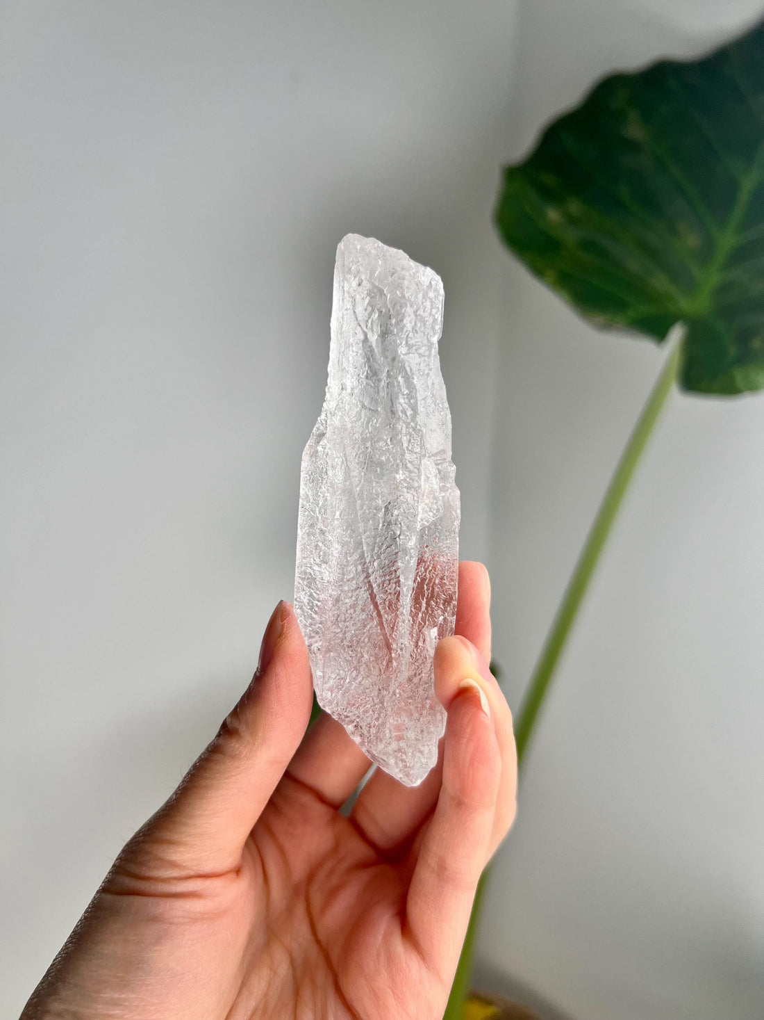 100% Natural Grade A Root Lemurian Quartz - Self-Healed and Etched Crystal from Serra do Cabral, Brazil - LRC32, 114g