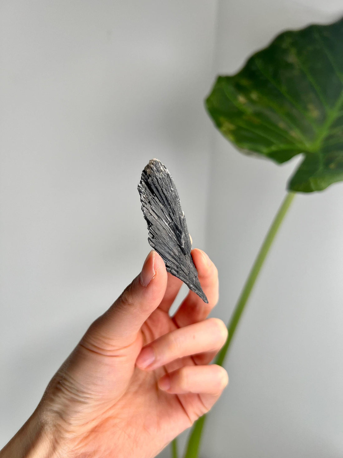Grade A Natural Black Kyanite Crystal from Araçuaí, Minas Gerais – Hand Selected, BC13, 16g