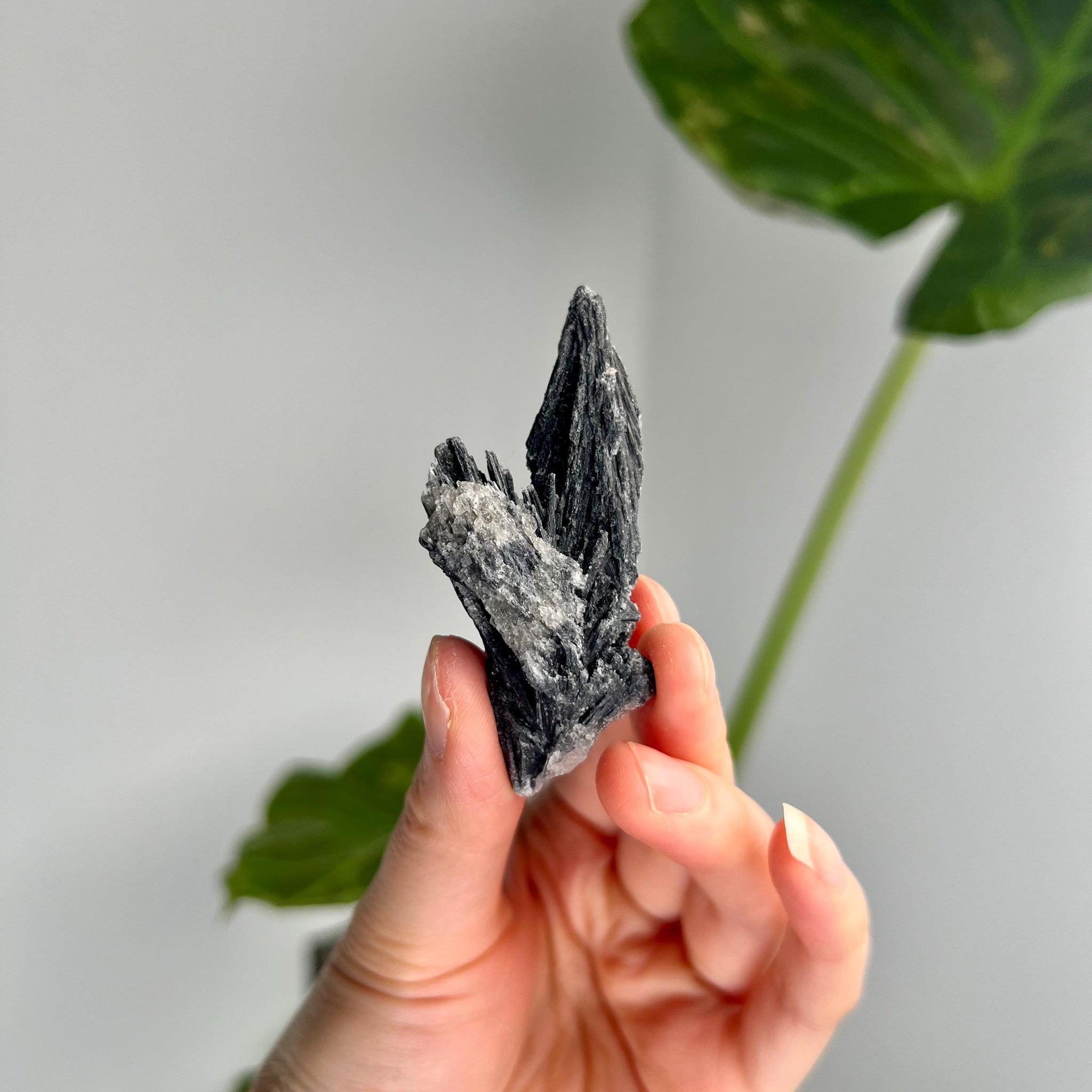 Grade A Natural Black Kyanite Crystal from Araçuaí, Minas Gerais – Hand Selected, BC14, 21g