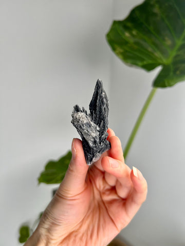Grade A Natural Black Kyanite Crystal from Araçuaí, Minas Gerais – Hand Selected, BC14, 21g