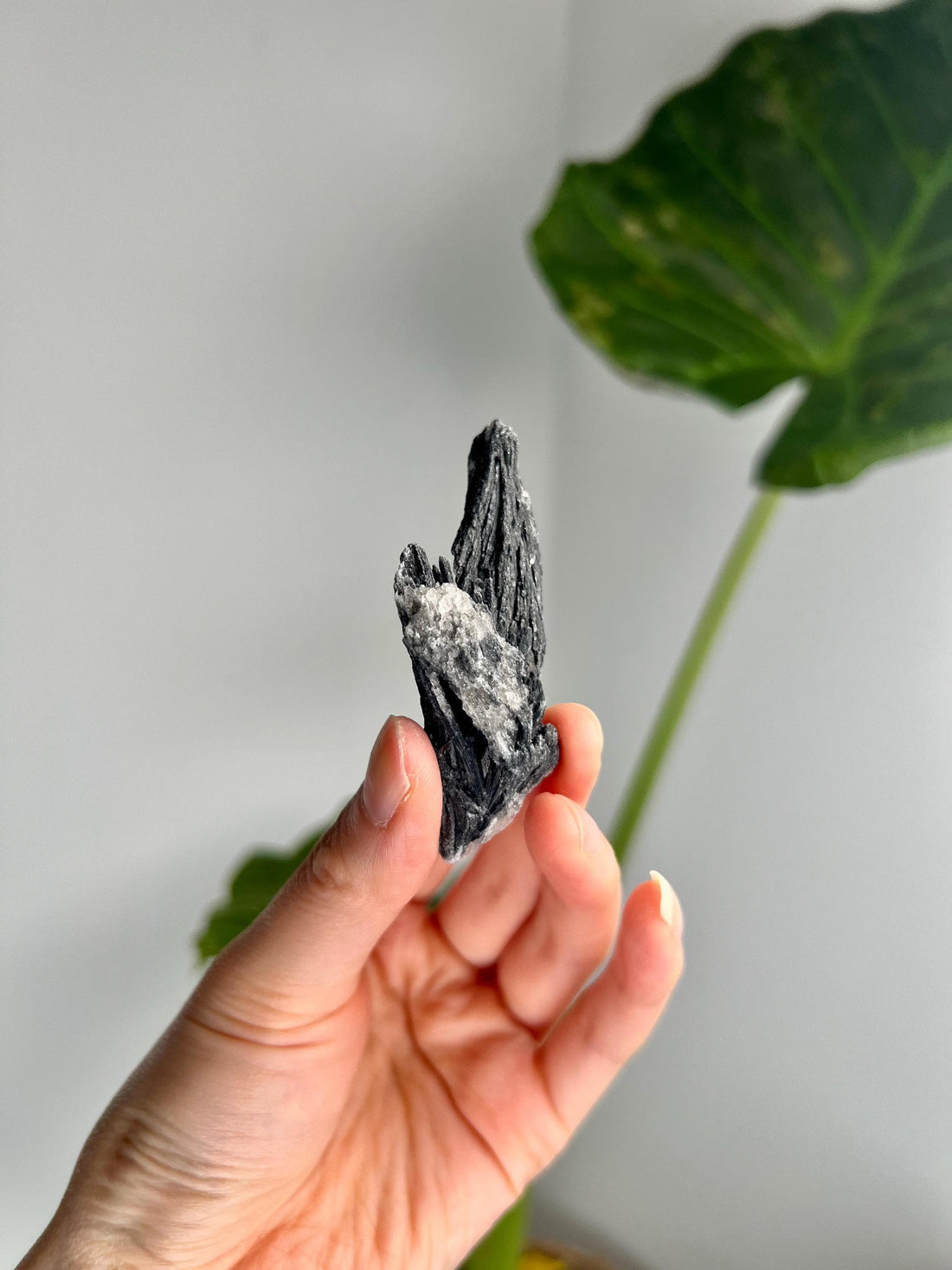 Grade A Natural Black Kyanite Crystal from Araçuaí, Minas Gerais – Hand Selected, BC14, 21g