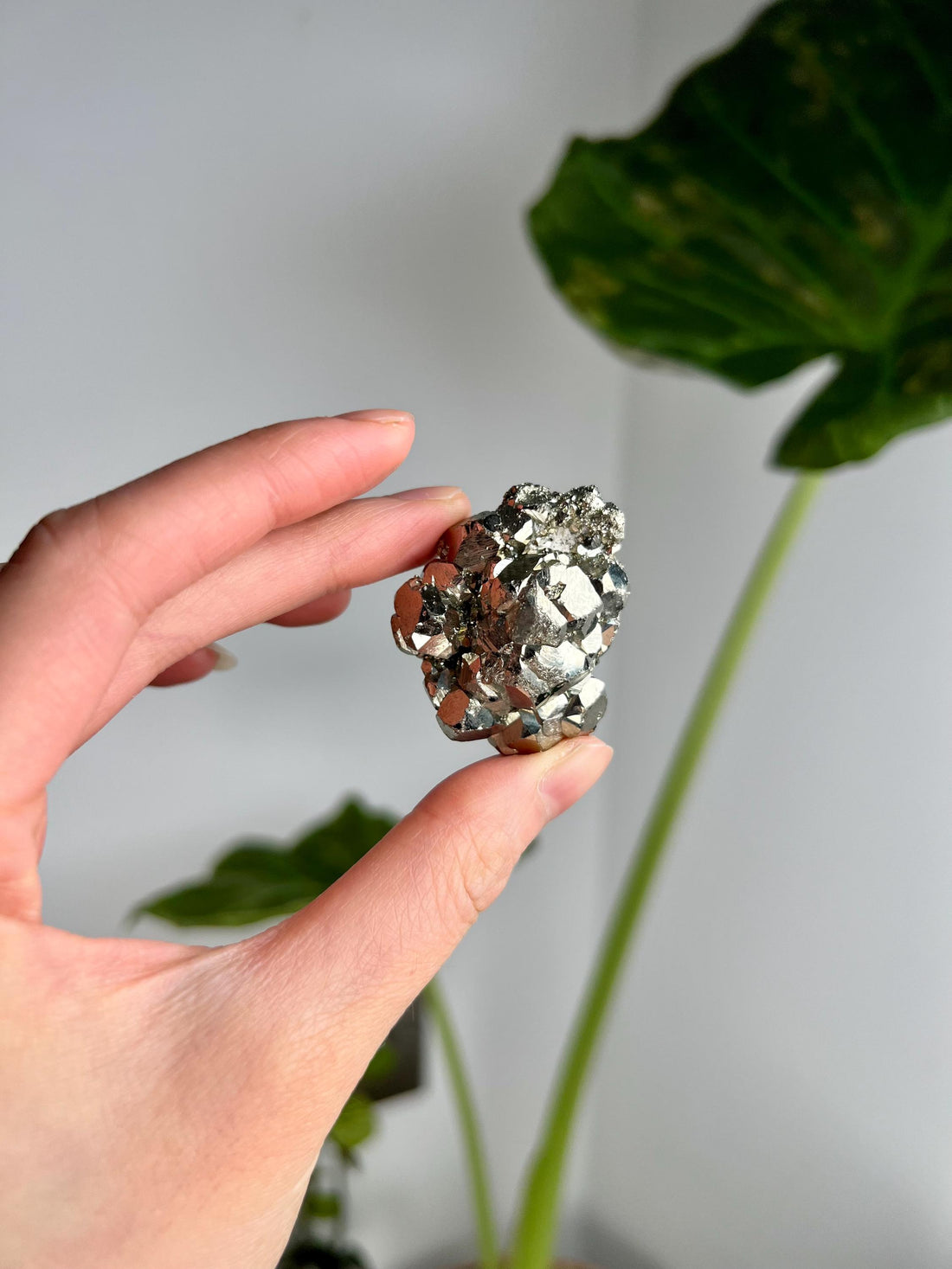 Grade AA Natural Pyrite from Peru – Protection Stone, Solar Plexus, Wealth Manifestation PRP15, 44g