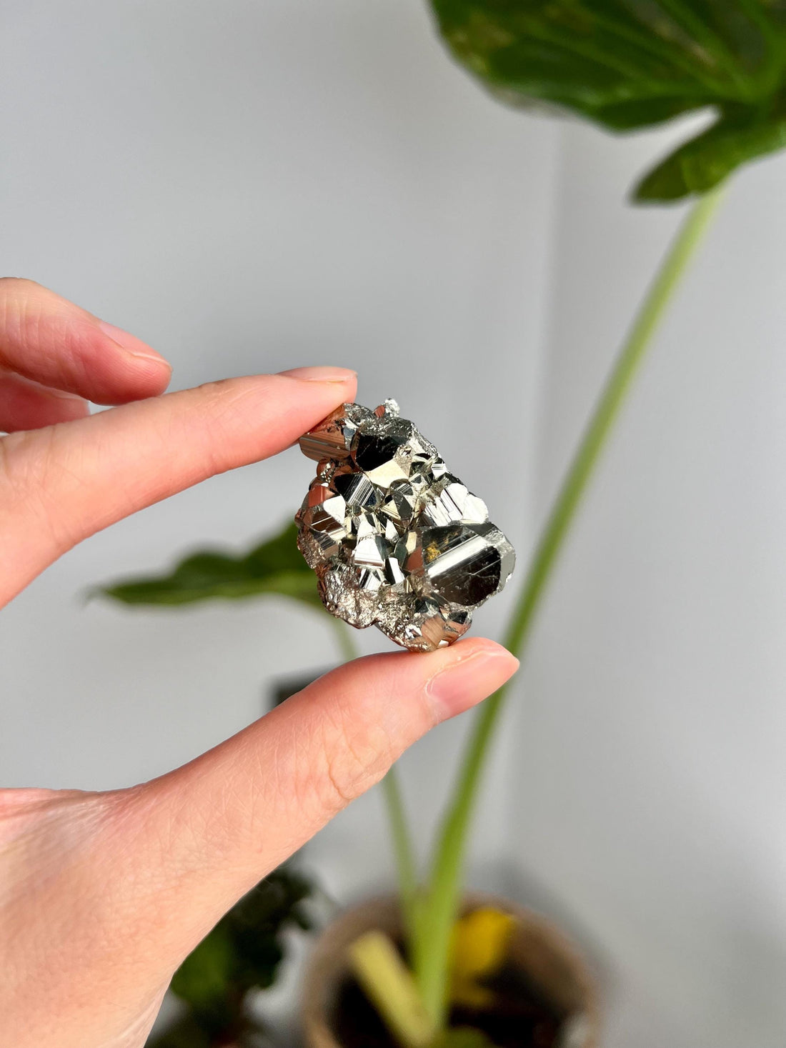 Grade AA Natural Pyrite from Peru – Protection Stone, Solar Plexus, Wealth Manifestation PRP25, 30g