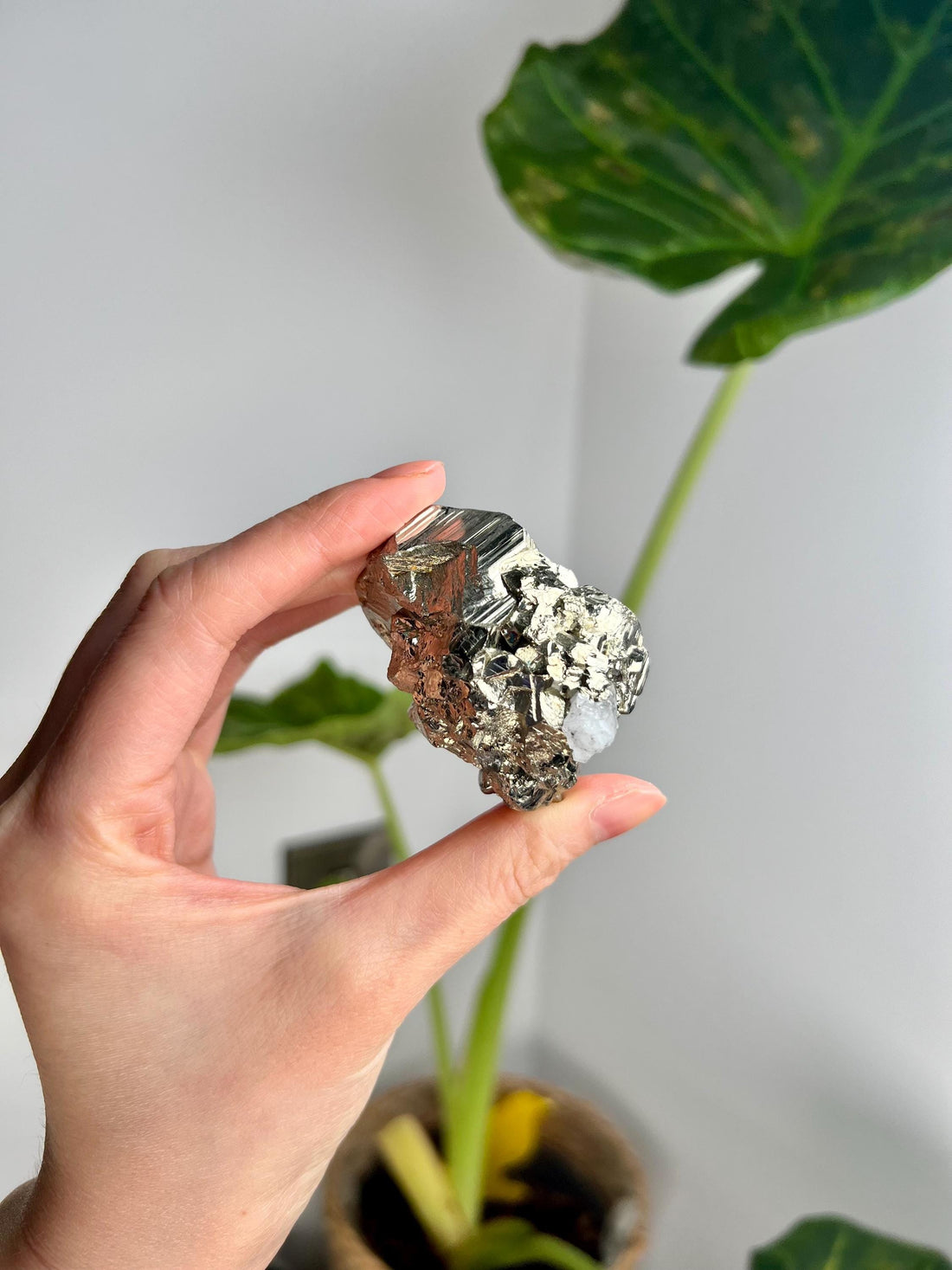 Grade AA Natural Pyrite with quartz from Peru – Protection Stone, Solar Plexus, Wealth Manifestation PRP31, 158g