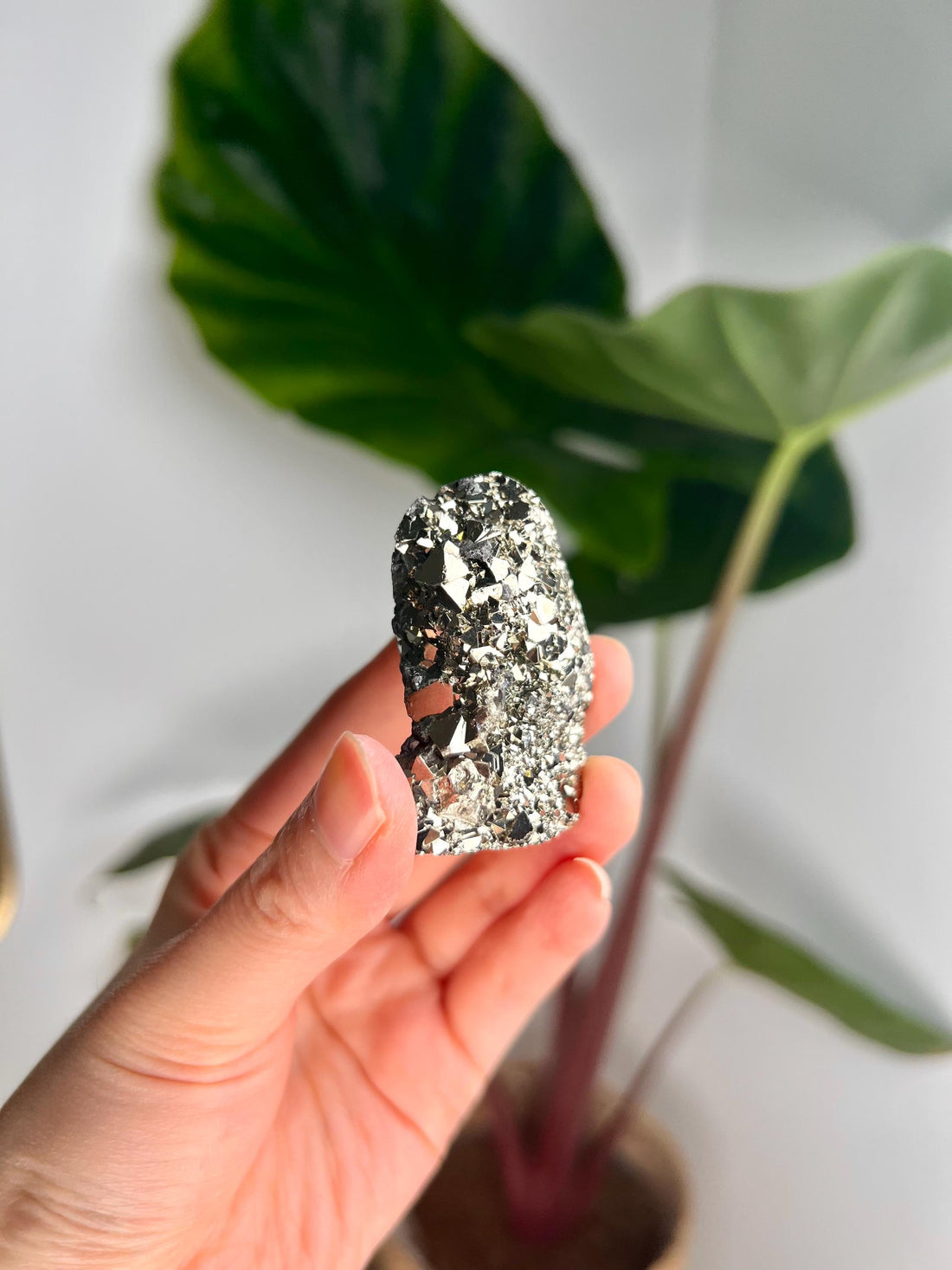 Grade AA Pyrite Cutbase with Sphalerite Huanzala, Peru – Semi-Polished, Protection Stone, Solar Plexus, Wealth Manifestation PCP09, 89g