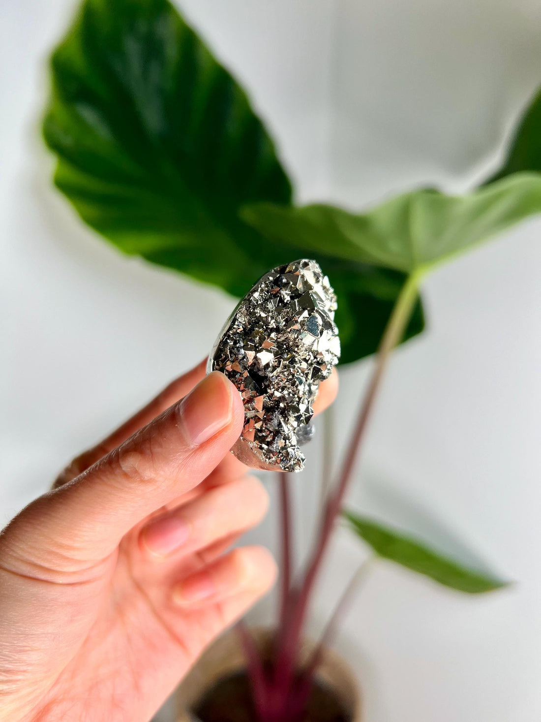 Grade AA Pyrite Cutbase with Sphalerite Huanzala, Peru – Semi-Polished, Protection Stone, Solar Plexus, Wealth Manifestation PCP14, 106g
