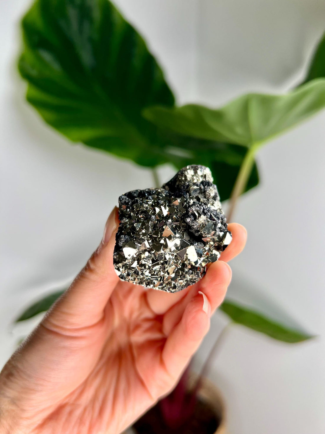 Grade AA Pyrite Cutbase with Sphalerite Huanzala, Peru – Semi-Polished, Protection Stone, Solar Plexus, Wealth Manifestation PCP21, 134g