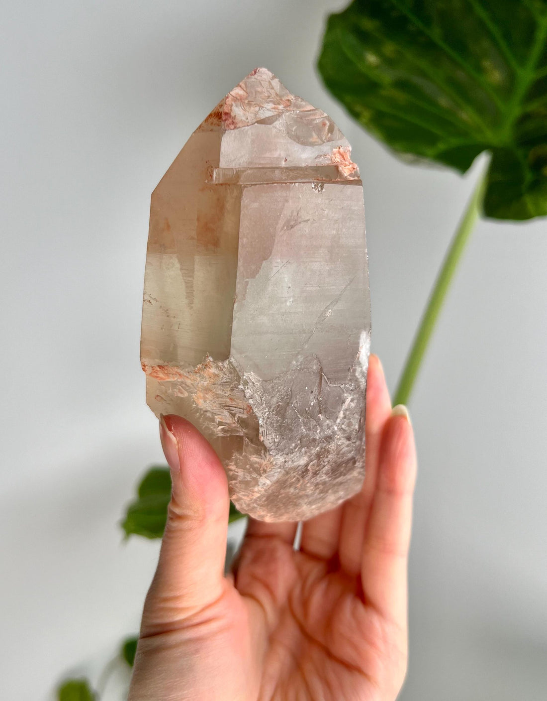 Grade A Golden Healer Shift Lemurian Quartz, Shift Quartz, Golden Healer Lemurian with Rainbow from Serra do Cabral, Brazil, GSL03, 616g