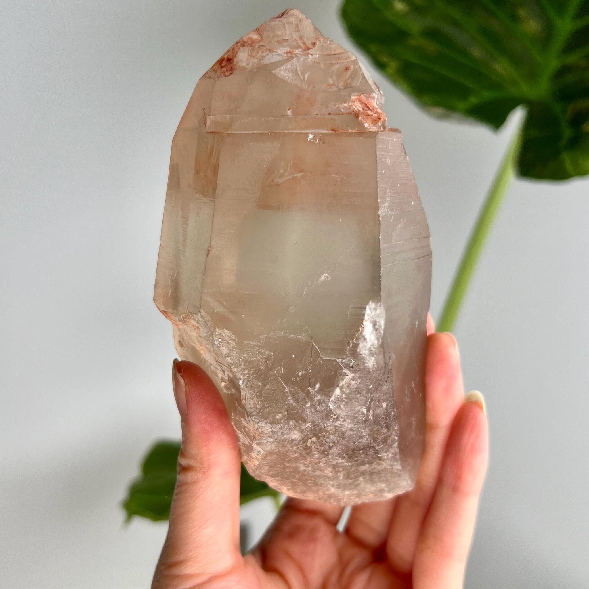 Grade A Golden Healer Shift Lemurian Quartz, Shift Quartz, Golden Healer Lemurian with Rainbow from Serra do Cabral, Brazil, GSL03, 616g