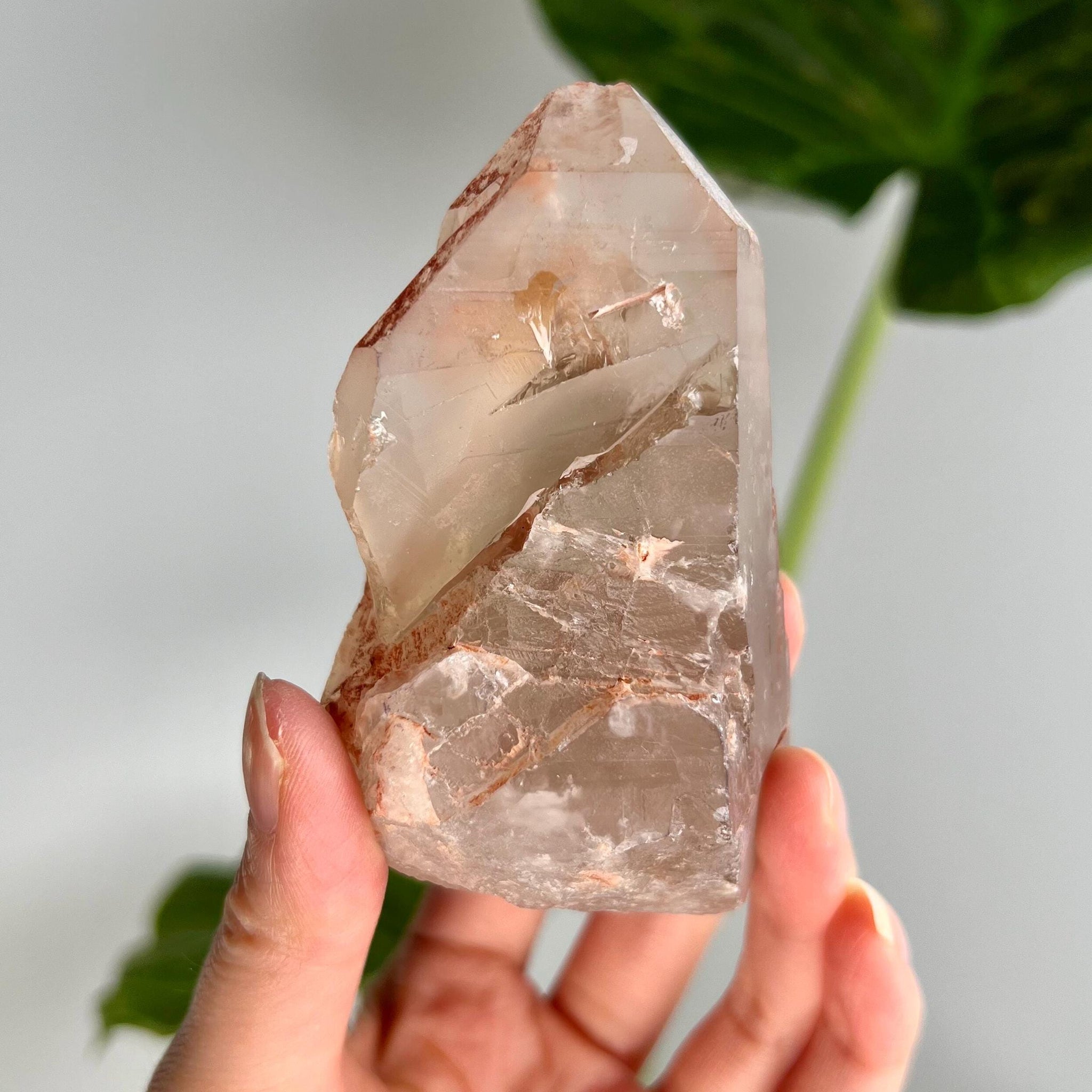 Grade A Golden Healer Shift Lemurian Quartz, Shift Quartz, Golden Healer Lemurian with Rainbow from Serra do Cabral, Brazil, GSL04, 266g