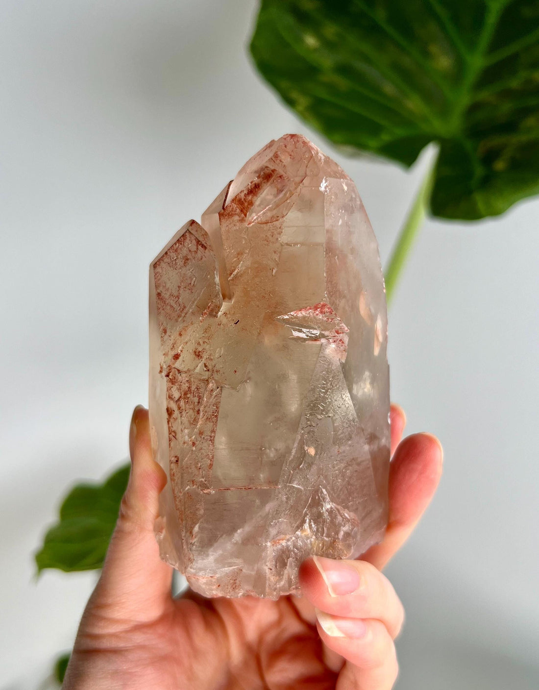 Grade A Golden Healer Shift Lemurian Quartz, Shift Quartz, Golden Healer Lemurian with Rainbow from Serra do Cabral, Brazil, GSL05, 404g
