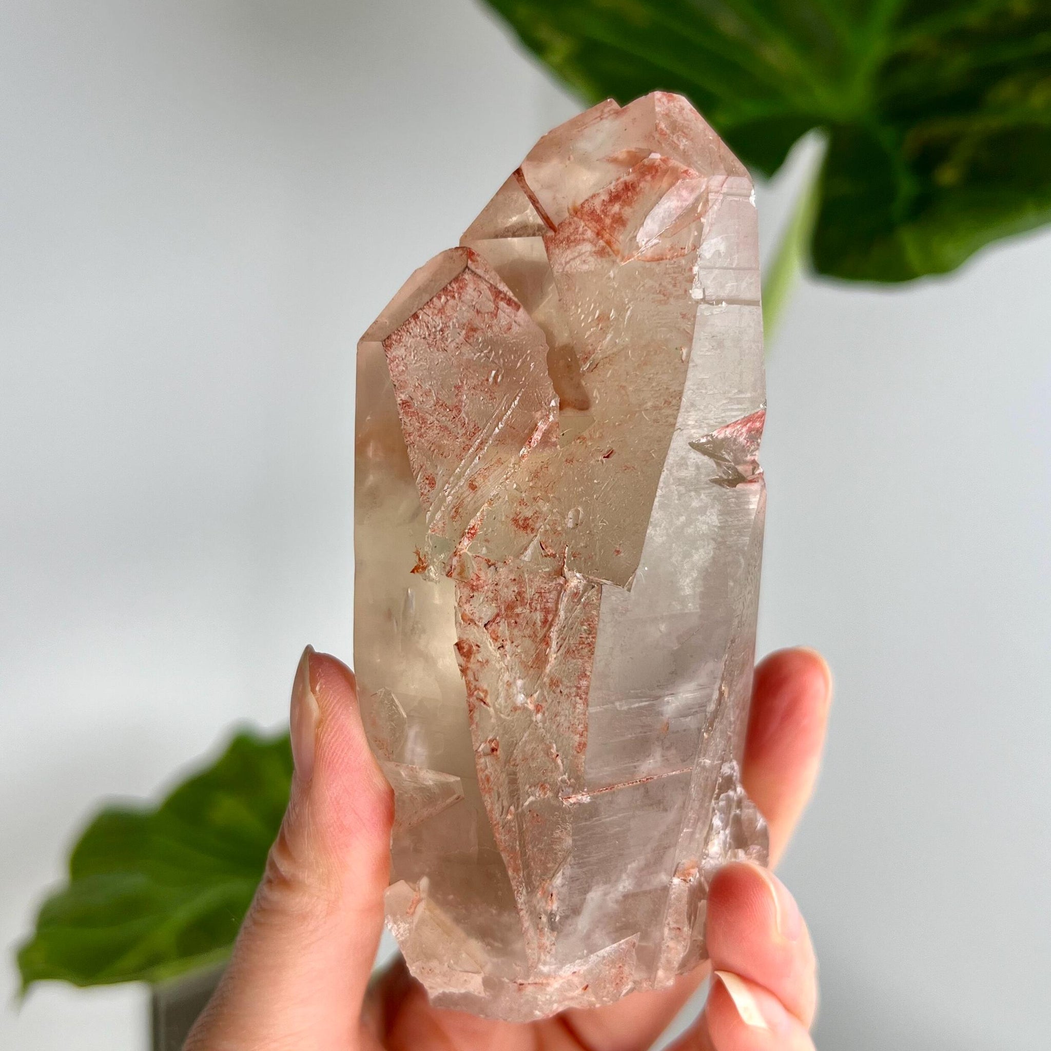 Grade A Golden Healer Shift Lemurian Quartz, Shift Quartz, Golden Healer Lemurian with Rainbow from Serra do Cabral, Brazil, GSL05, 404g