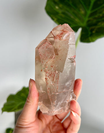 Grade A Golden Healer Shift Lemurian Quartz, Shift Quartz, Golden Healer Lemurian with Rainbow from Serra do Cabral, Brazil, GSL05, 404g