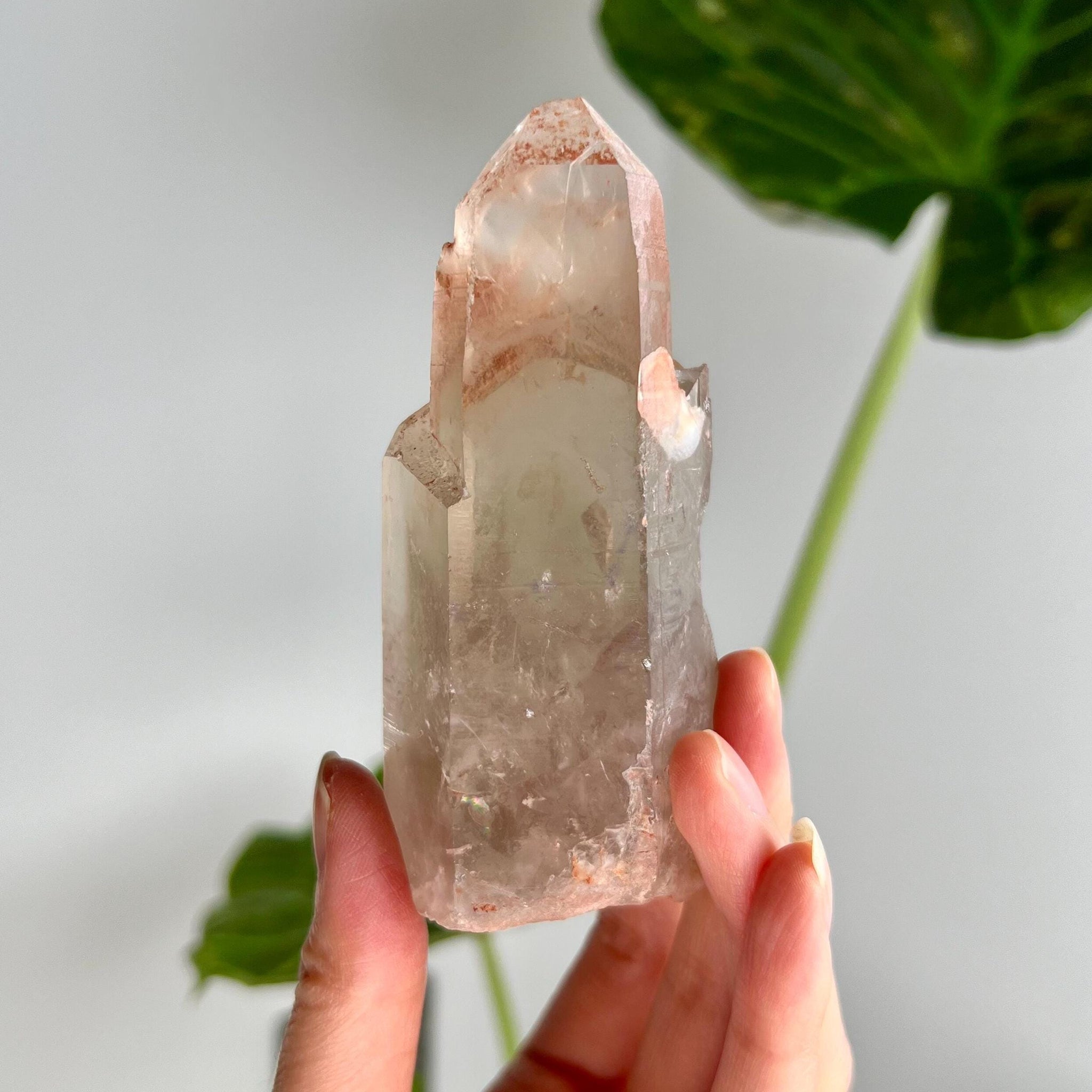 Grade A Golden Healer Lemurian Shift Quartz with Penetration, Manifestation Quartz from Serra do Cabral, Brazil, GSL06, 228g