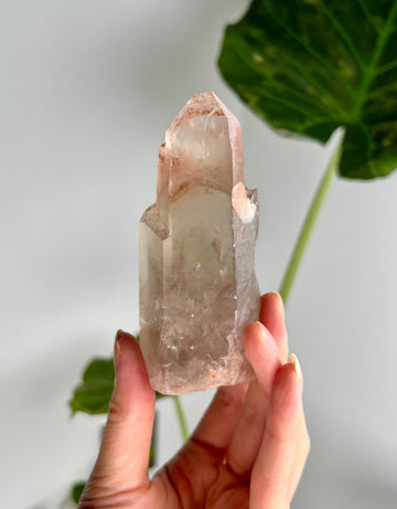 Grade A Golden Healer Lemurian Shift Quartz with Penetration, Manifestation Quartz from Serra do Cabral, Brazil, GSL06, 228g