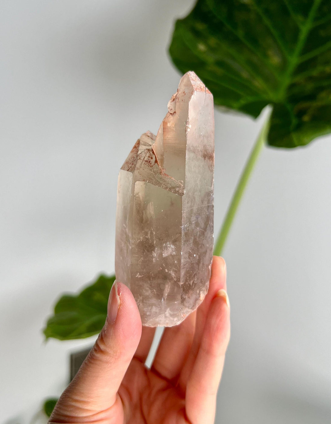 Grade A Golden Healer Lemurian Shift Quartz with Penetration, Manifestation Quartz from Serra do Cabral, Brazil, GSL06, 228g