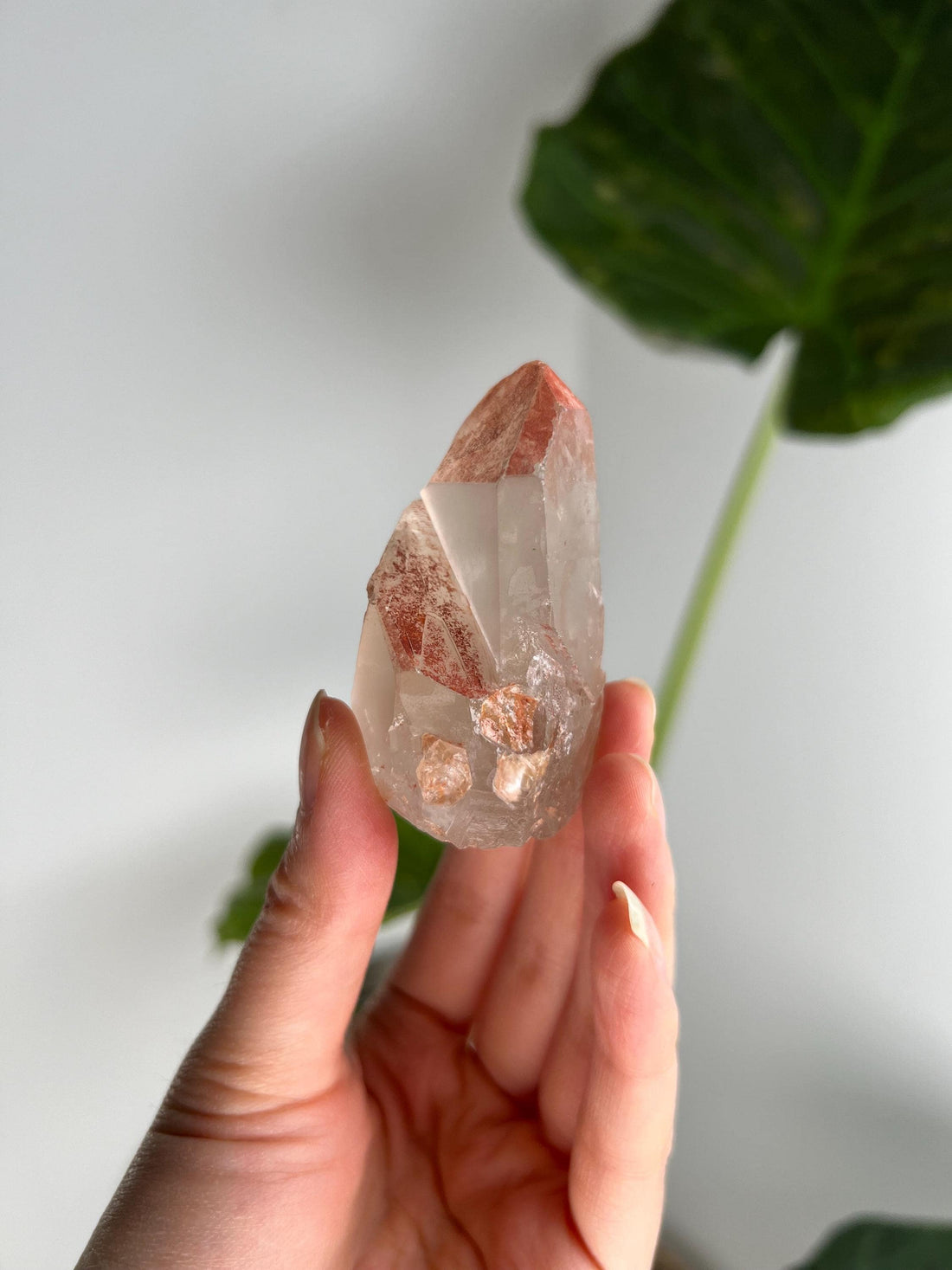 Grade A Golden Healer Shift Lemurian Quartz, Shift Quartz, Golden Healer Lemurian with Rainbow from Serra do Cabral, Brazil, GSL10, 80g