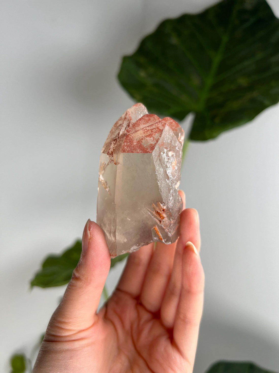 Grade A Golden Healer Lemurian Shift Quartz, with Record Keepers and Rainbow from Serra do Cabral, Brazil, GSL11, 182g