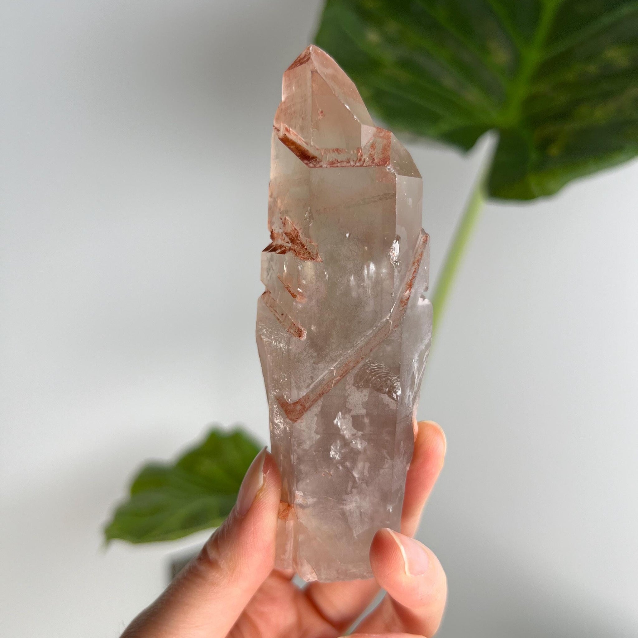 Grade A Golden Healer Shift Lemurian Quartz, Shift Quartz, Golden Healer Lemurian with Rainbow from Serra do Cabral, Brazil, GSL12, 188g
