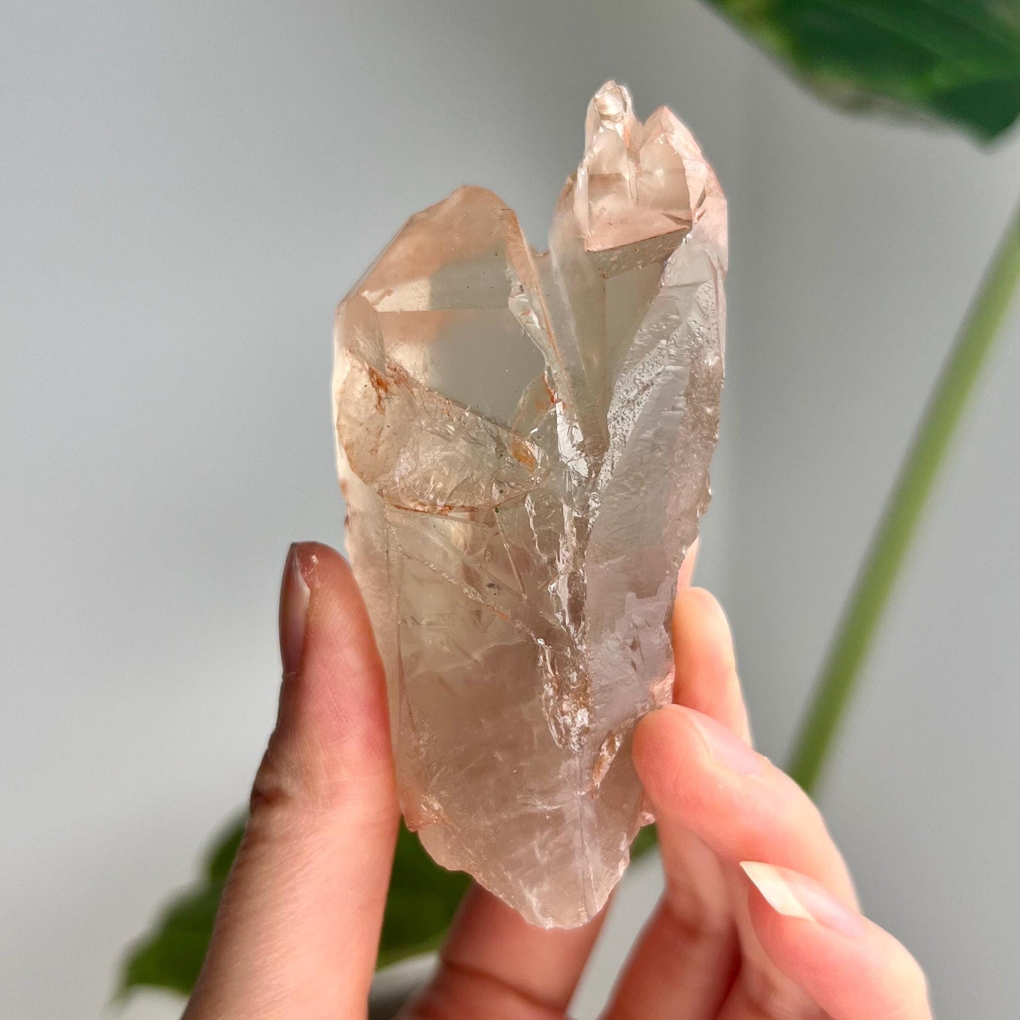 Grade A Golden Healer Lemurian Quartz, Shift Quartz, with Record Keepers and Rainbow from Serra do Cabral, Brazil, GSL14, 120g