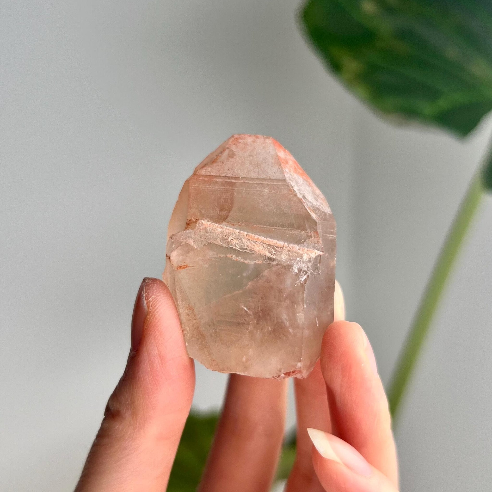 Grade A Golden Healer Lemurian Quartz, Shift Quartz, from Serra do Cabral, Brazil, GSL24, 60g