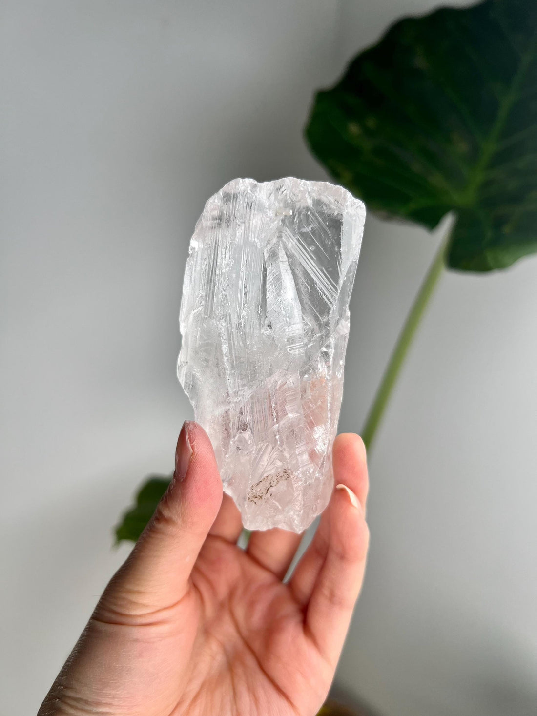 100% Natural Grade A Root Lemurian Quartz - Self-Healed and Etched Crystal from Serra do Cabral, Brazil - LRC17, 179g
