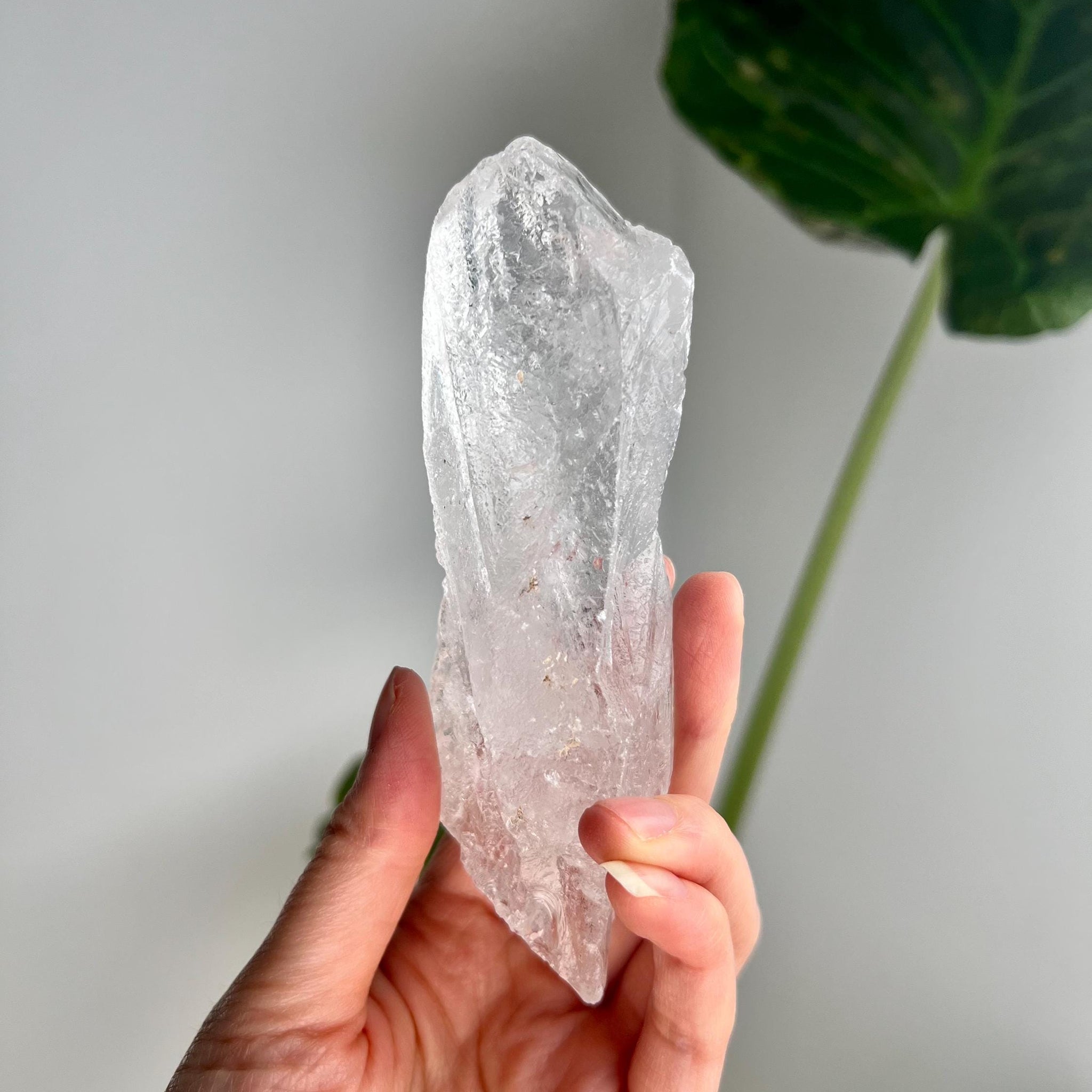 100% Natural Grade A Root Lemurian Quartz - Self-Healed and Etched Crystal from Serra do Cabral, Brazil - LRC19, 186g