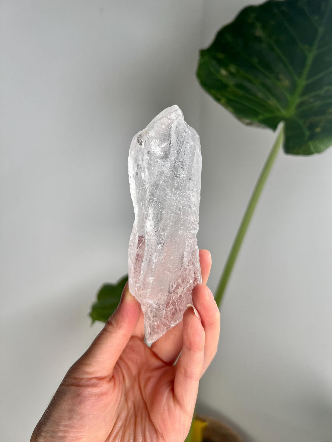 100% Natural Grade A Root Lemurian Quartz - Self-Healed and Etched Crystal from Serra do Cabral, Brazil - LRC19, 186g