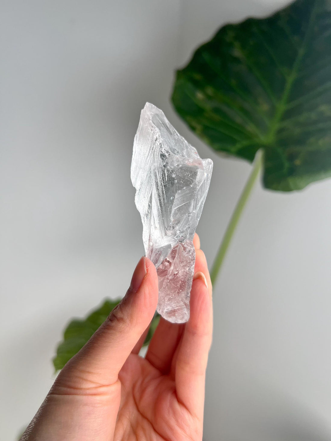 100% Natural Grade A Root Lemurian Quartz - Self-Healed and Etched Crystal from Serra do Cabral, Brazil - LRC22, 105g