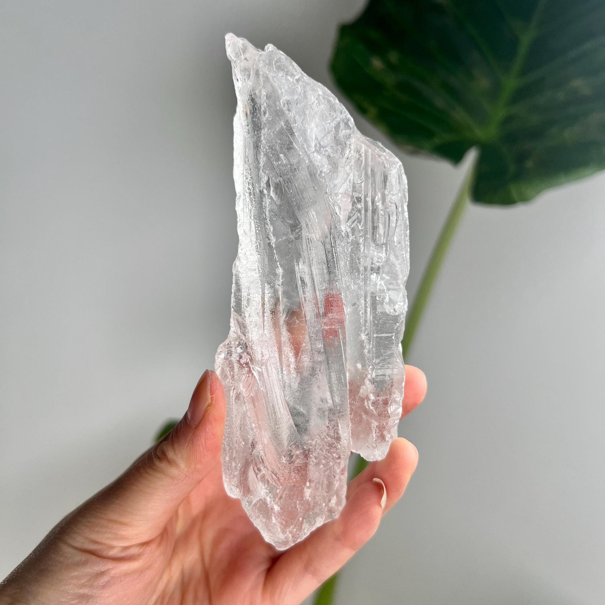 100% Natural Grade A Root Lemurian Quartz - Self-Healed and Etched Crystal from Serra do Cabral, Brazil - LRC23, 268g