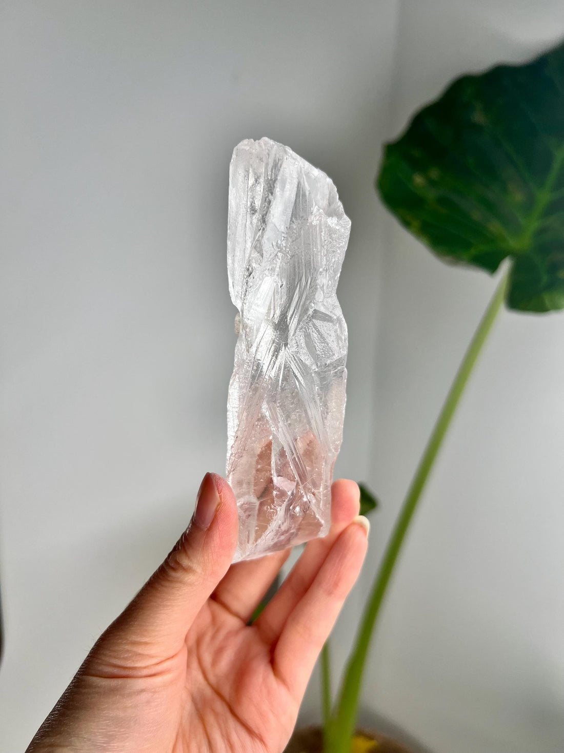 100% Natural Grade A Root Lemurian Quartz - Self-Healed and Etched Crystal from Serra do Cabral, Brazil - LRC28, 240g