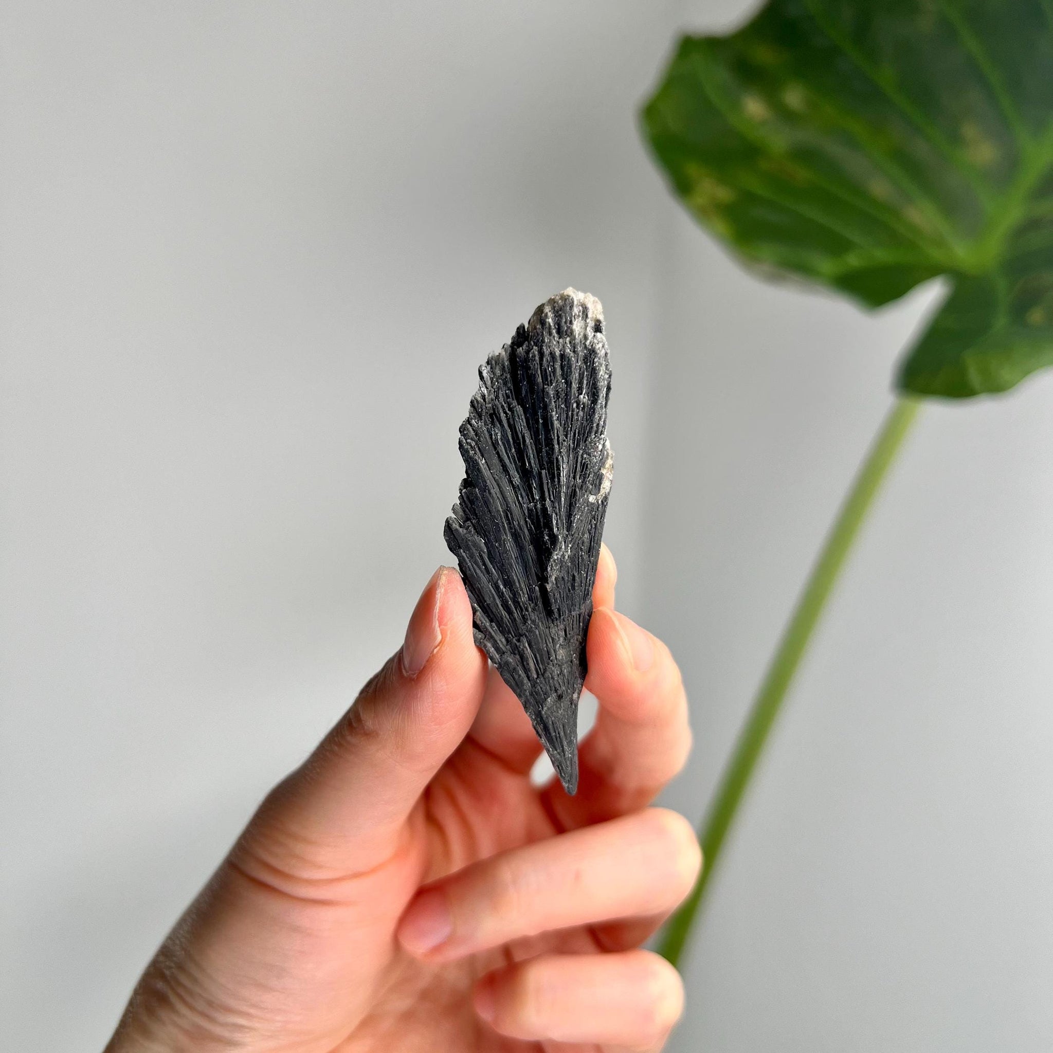 Grade A Natural Black Kyanite Crystal from Araçuaí, Minas Gerais – Hand Selected, BC13, 16g