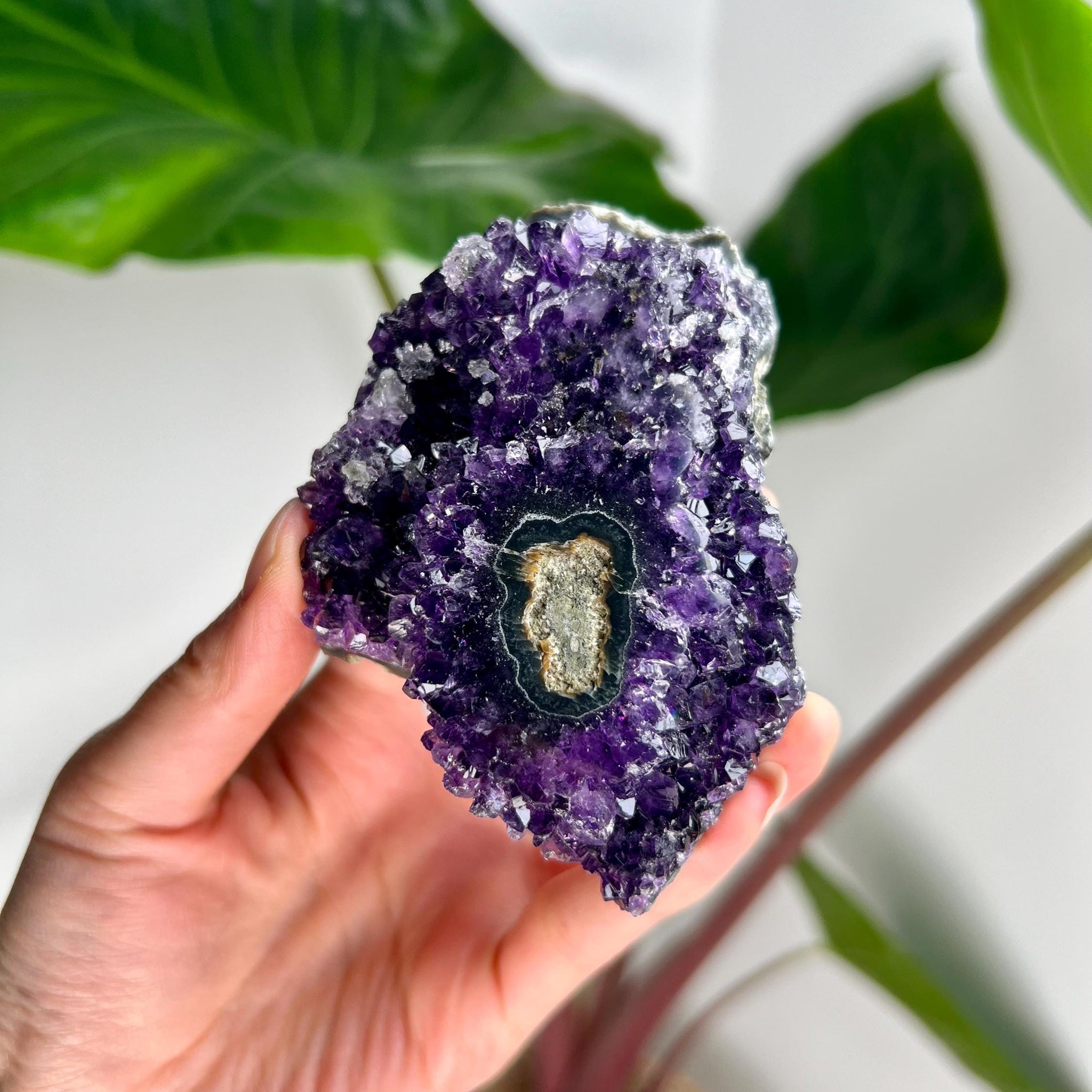 Grade AA Natural Amethyst Flower Stalactite from Uruguay – Unique Formation, High-Energy Healing Crystal - US03, 225g