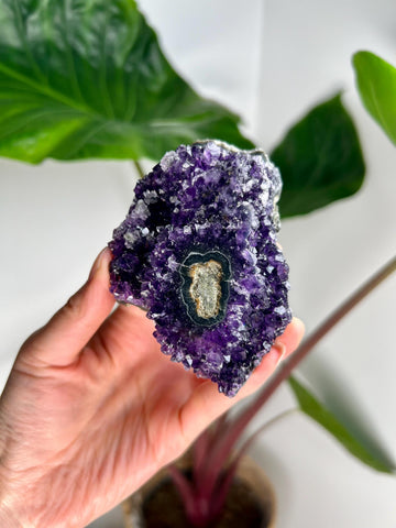 Grade AA Natural Amethyst Flower Stalactite from Uruguay – Unique Formation, High-Energy Healing Crystal - US03, 225g
