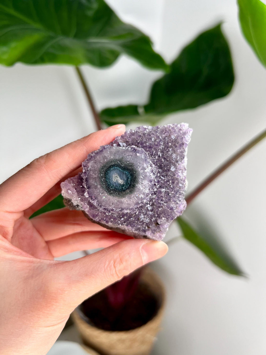 Grade AA Natural Amethyst Flower Stalactite from Uruguay – Unique Formation, High-Energy Healing Crystal - US07, 142g
