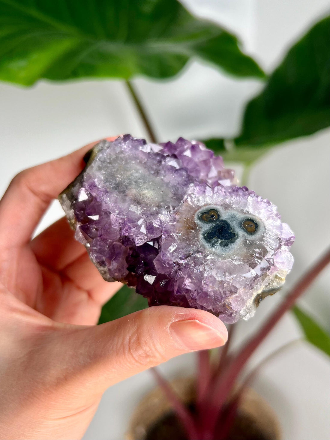Grade AA Natural Amethyst Flower Stalactite from Uruguay – Unique Formation, High-Energy Healing Crystal - US08, 205g